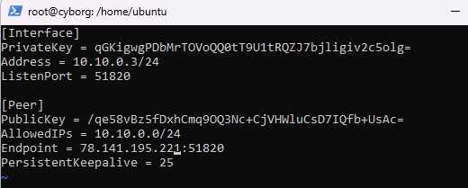 nano editor open showing /etc/wireguard/wg0.conf being edited with Interface and Peer sections